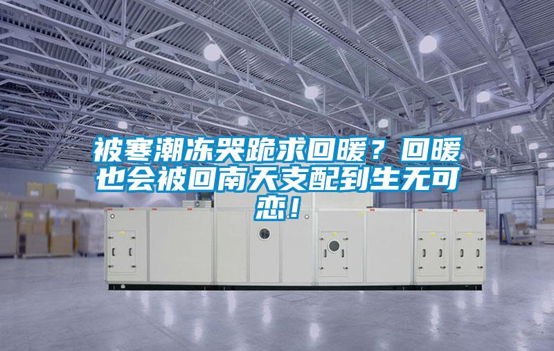 被寒潮凍哭跪求回暖？回暖也會被回南天支配到生無可戀！