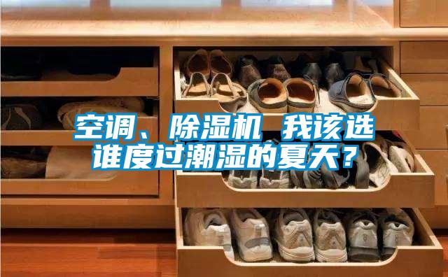 空調(diào)、除濕機(jī) 我該選誰(shuí)度過(guò)潮濕的夏天？