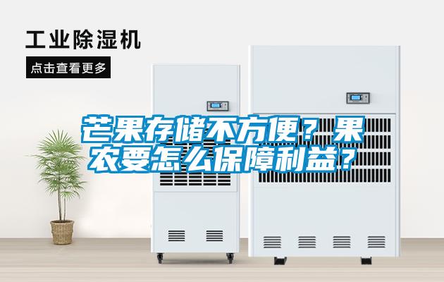 芒果存儲不方便？果農(nóng)要怎么保障利益？