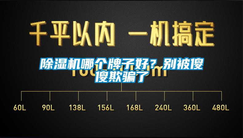 除濕機哪個牌子好？別被傻傻欺騙了