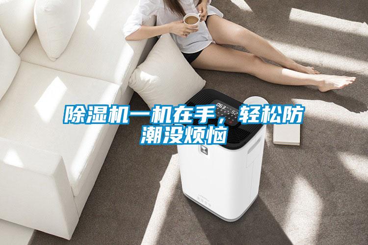 除濕機一機在手，輕松防潮沒煩惱