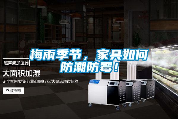 梅雨季節(jié)，家具如何防潮防霉！