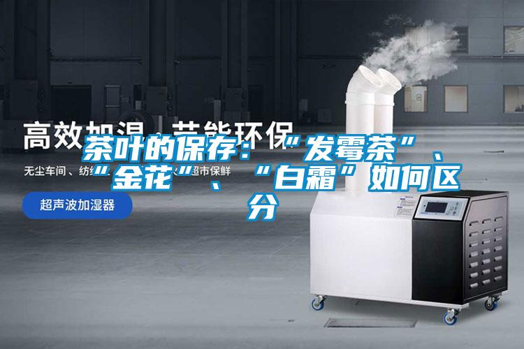茶葉的保存：“發(fā)霉茶”、“金花”、“白霜”如何區(qū)分