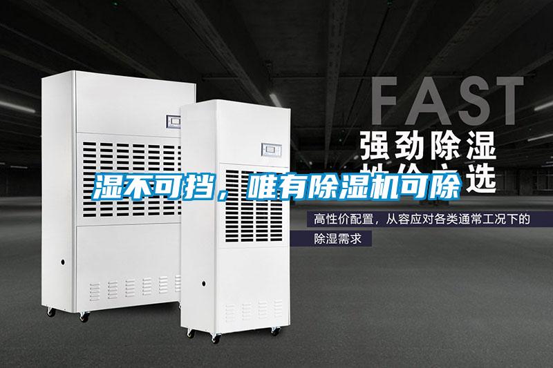 濕不可擋，唯有除濕機(jī)可除