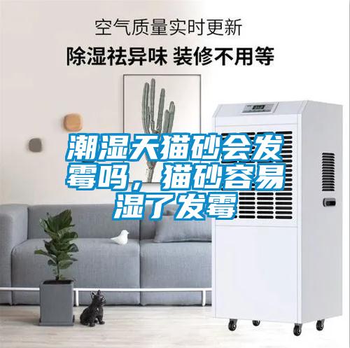 潮濕天貓砂會發(fā)霉嗎，貓砂容易濕了發(fā)霉