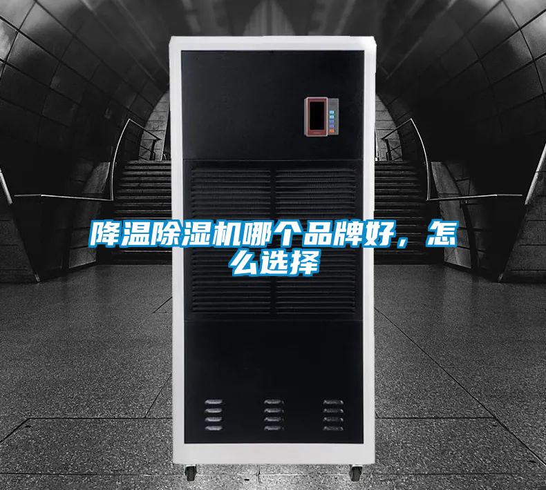 降溫除濕機(jī)哪個品牌好，怎么選擇