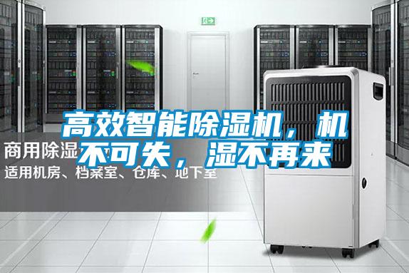 高效智能除濕機(jī)，機(jī)不可失，濕不再來