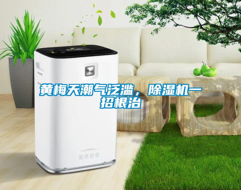 黃梅天潮氣泛濫，除濕機(jī)一招根治