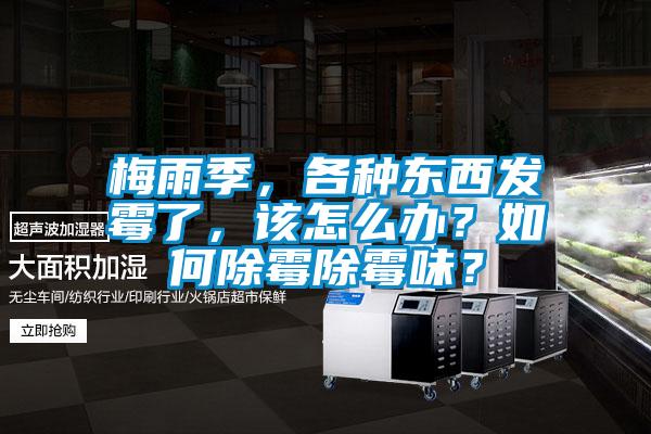 梅雨季，各種東西發(fā)霉了，該怎么辦？如何除霉除霉味？