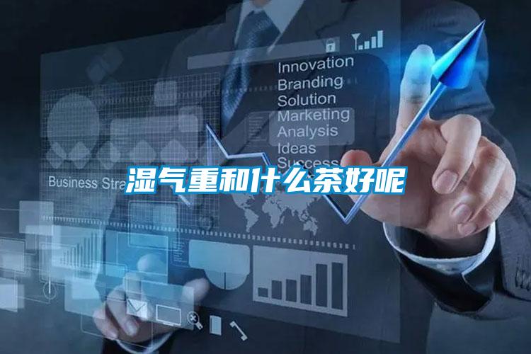 濕氣重和什么茶好呢