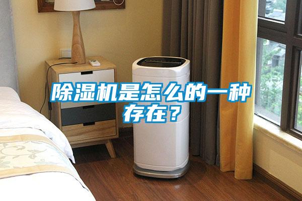 除濕機(jī)是怎么的一種存在？