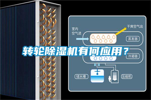 轉(zhuǎn)輪除濕機有何應用？