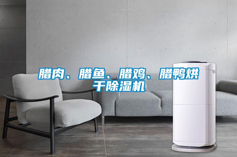 臘肉、臘魚、臘雞、臘鴨烘干除濕機(jī)