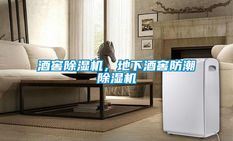 酒窖除濕機，地下酒窖防潮除濕機