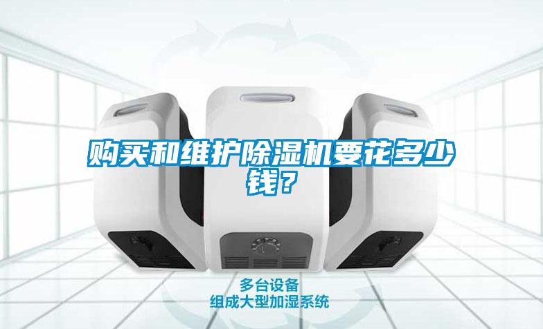 購(gòu)買(mǎi)和維護(hù)除濕機(jī)要花多少錢(qián)？