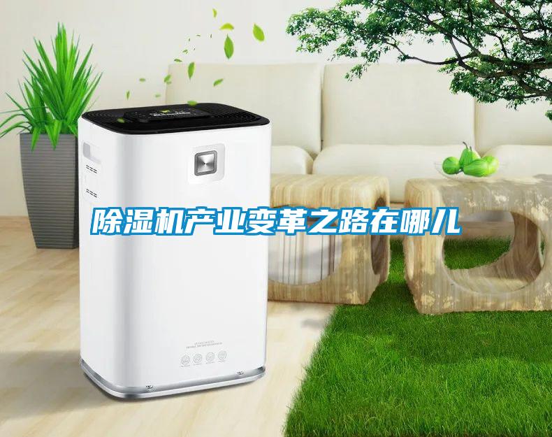 除濕機產(chǎn)業(yè)變革之路在哪兒