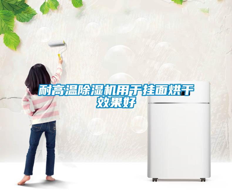 耐高溫除濕機(jī)用于掛面烘干效果好