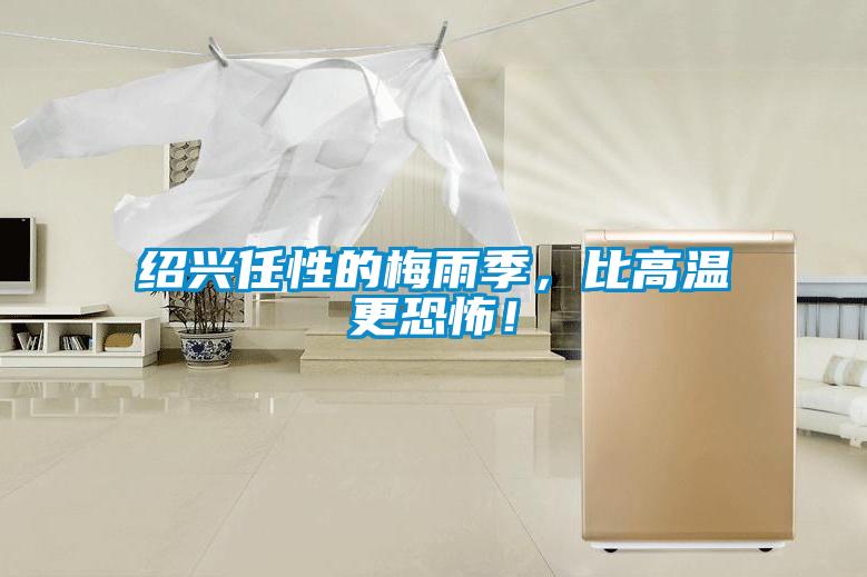 紹興任性的梅雨季，比高溫更恐怖！