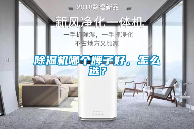 除濕機(jī)哪個(gè)牌子好，怎么選？