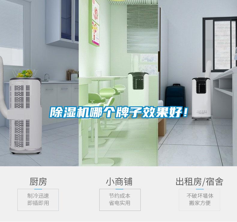 除濕機哪個牌子效果好！