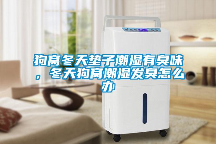 狗窩冬天墊子潮濕有臭味，冬天狗窩潮濕發(fā)臭怎么辦