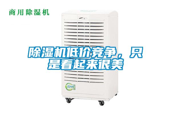 除濕機(jī)低價(jià)競(jìng)爭(zhēng)，只是看起來很美