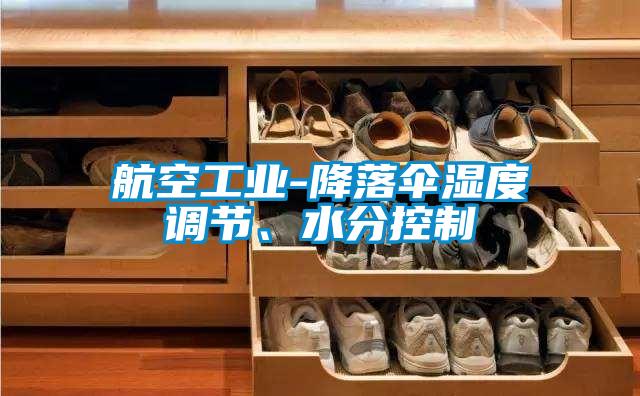 航空工業(yè)-降落傘濕度調(diào)節(jié)、水分控制