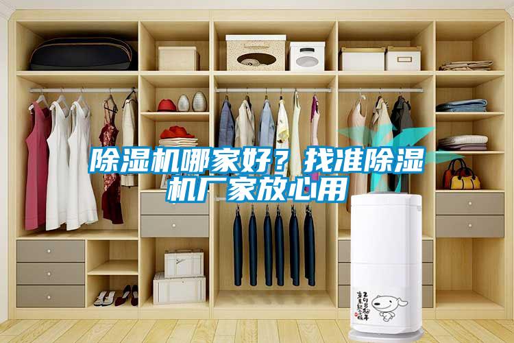 除濕機哪家好？找準除濕機廠家放心用