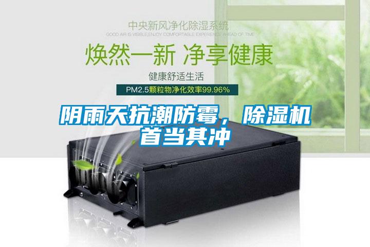 陰雨天抗潮防霉，除濕機(jī)首當(dāng)其沖