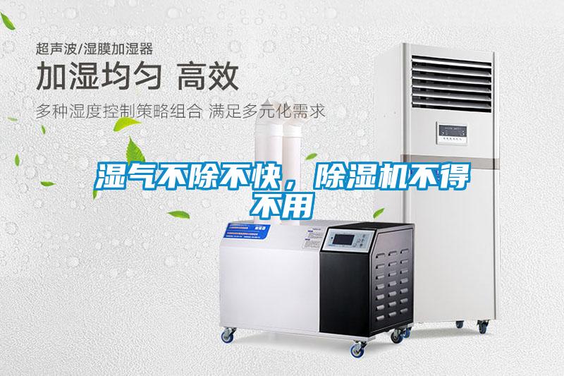 濕氣不除不快，除濕機不得不用