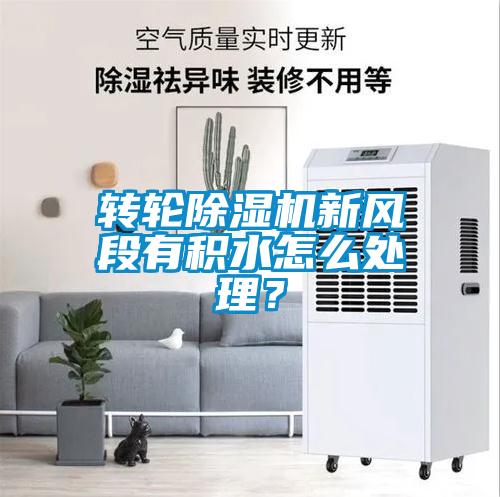 轉(zhuǎn)輪除濕機(jī)新風(fēng)段有積水怎么處理？