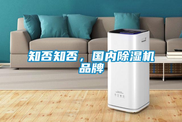 知否知否，國內(nèi)除濕機品牌