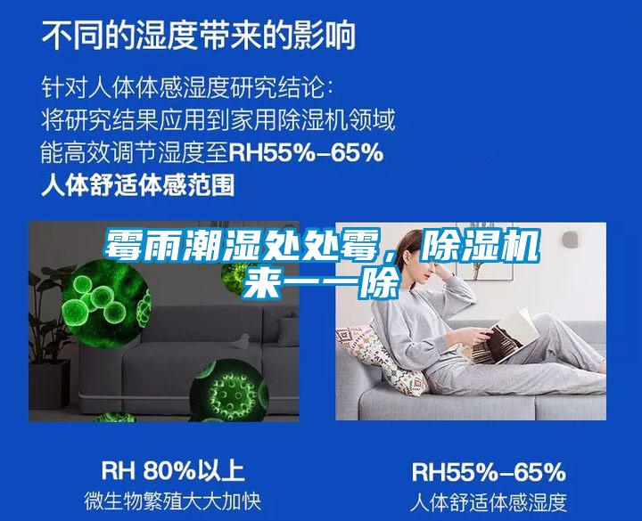 霉雨潮濕處處霉，除濕機(jī)來一一除
