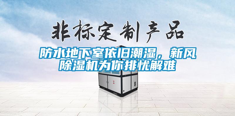 防水地下室依舊潮濕，新風(fēng)除濕機(jī)為你排憂解難