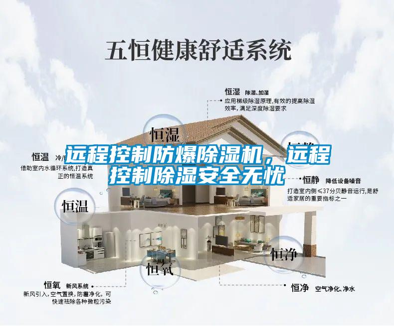 遠(yuǎn)程控制防爆除濕機(jī)，遠(yuǎn)程控制除濕安全無憂