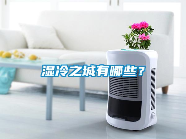 濕冷之城有哪些？