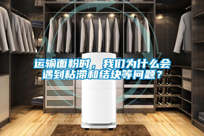 運(yùn)輸面粉時(shí)，我們?yōu)槭裁磿?huì)遇到粘滯和結(jié)塊等問題？