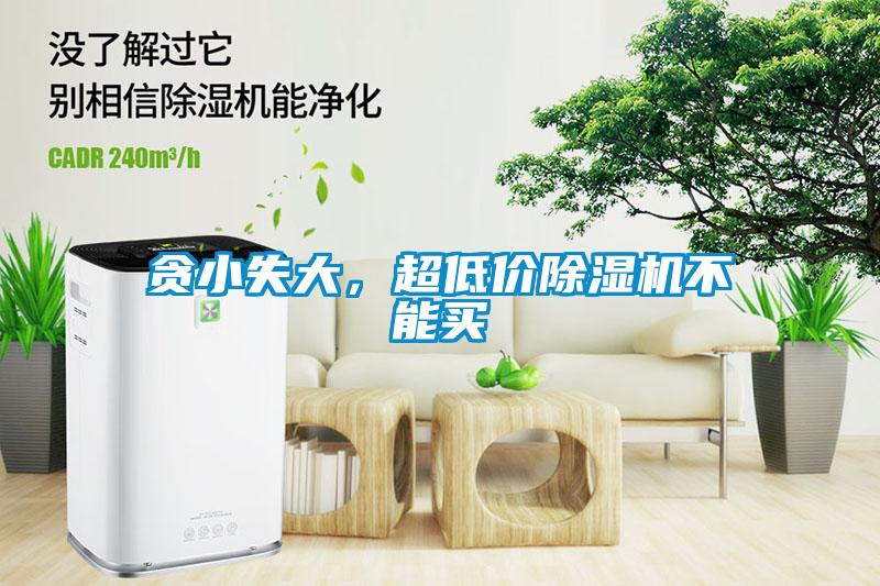 貪小失大，超低價除濕機不能買