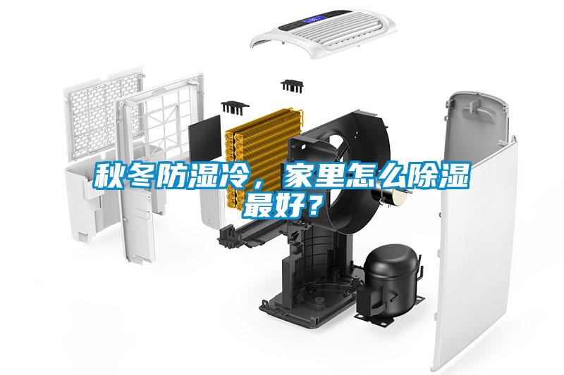 秋冬防濕冷，家里怎么除濕最好？
