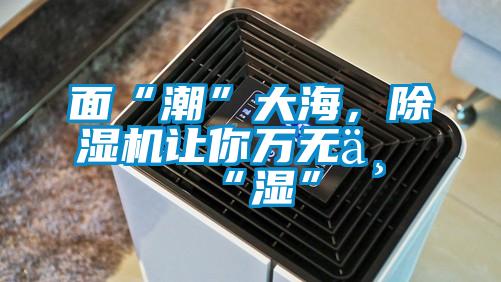 面“潮”大海，除濕機(jī)讓你萬無一“濕”
