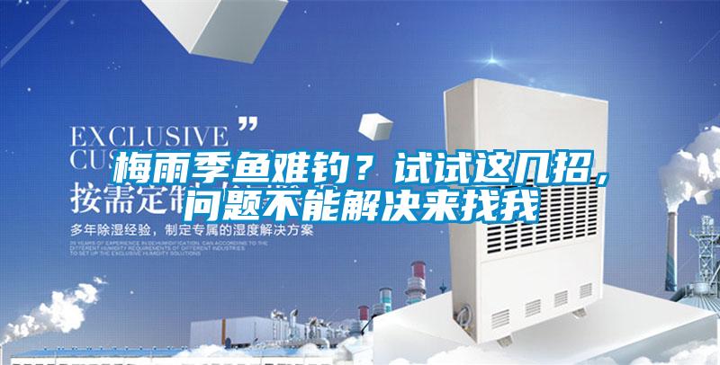 梅雨季魚難釣？試試這幾招，問題不能解決來找我