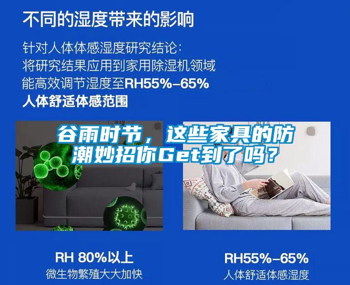 谷雨時(shí)節(jié)，這些家具的防潮妙招你Get到了嗎？