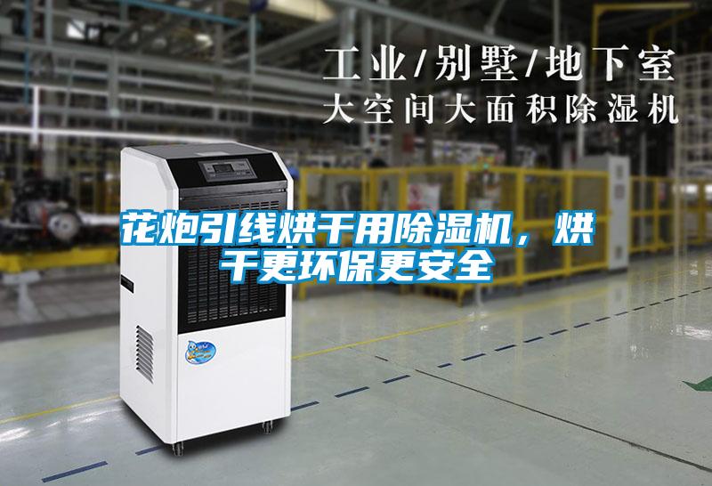花炮引線烘干用除濕機(jī)，烘干更環(huán)保更安全