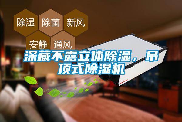 深藏不露立體除濕，吊頂式除濕機(jī)