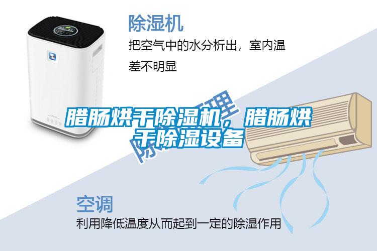 臘腸烘干除濕機(jī)，臘腸烘干除濕設(shè)備