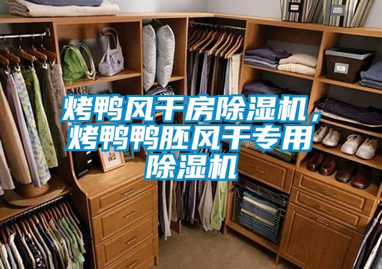烤鴨風(fēng)干房除濕機(jī)，烤鴨鴨胚風(fēng)干專用除濕機(jī)