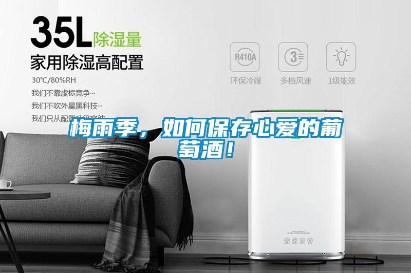 梅雨季，如何保存心愛的葡萄酒！