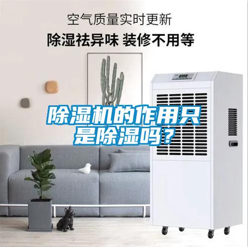 除濕機的作用只是除濕嗎？
