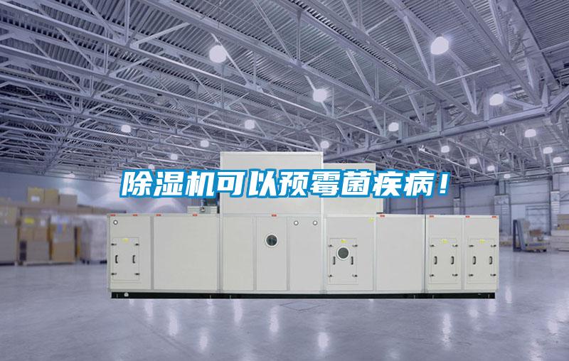 除濕機可以預(yù)霉菌疾??！