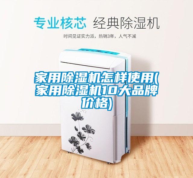 家用除濕機(jī)怎樣使用(家用除濕機(jī)10大品牌價格)